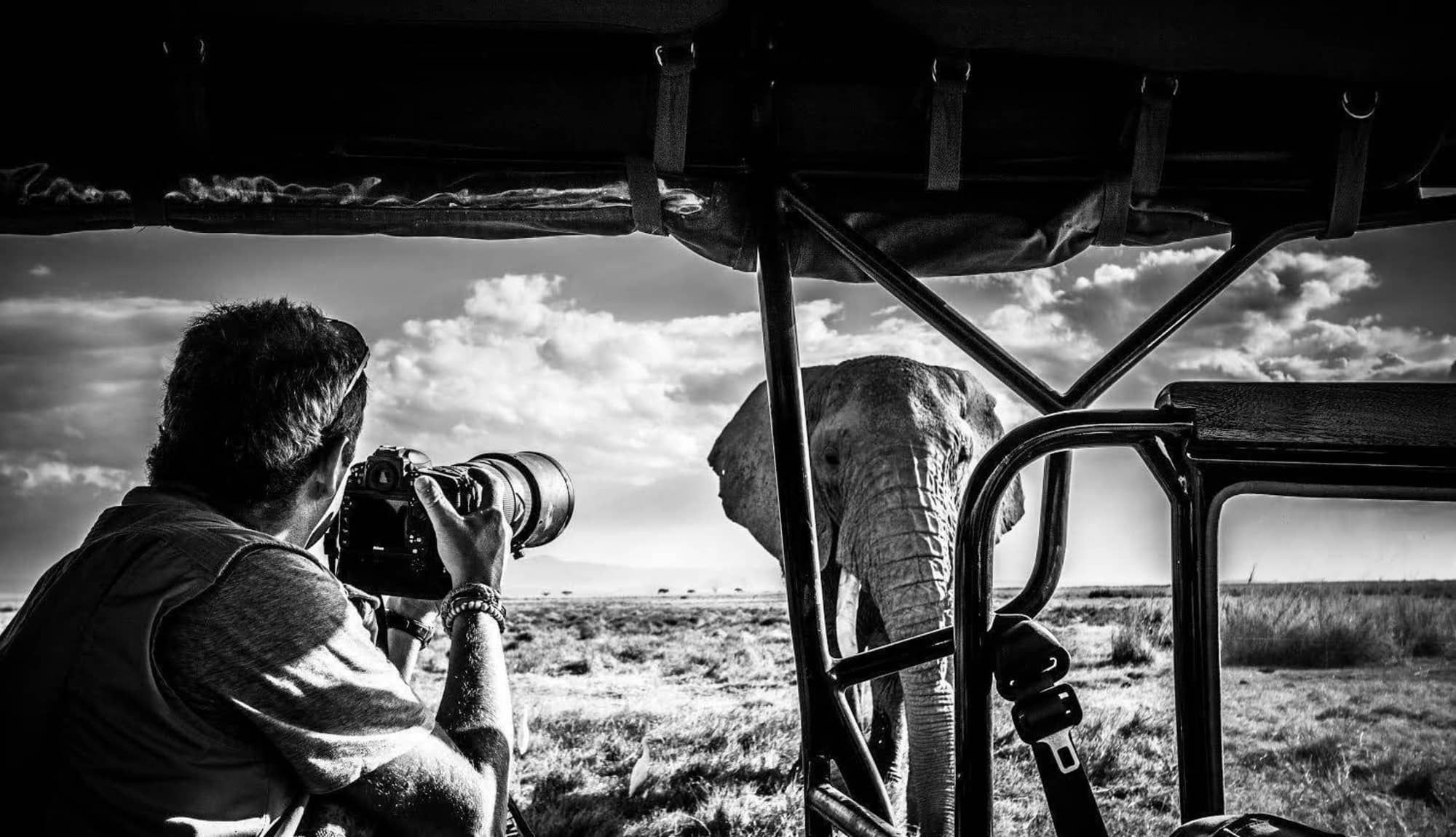 David Yarrow: The Wild Eye of Collectible Photography