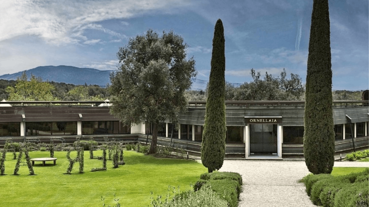Ornellaia: The Super Tuscan Icon That Conquered Collectors
